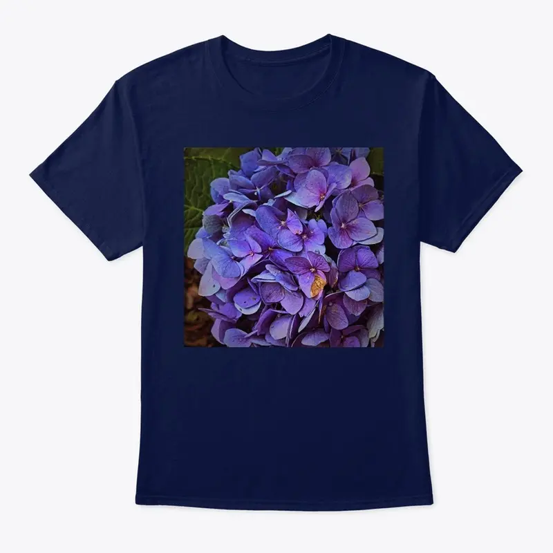 Purple Hydrangeas are beautiful 