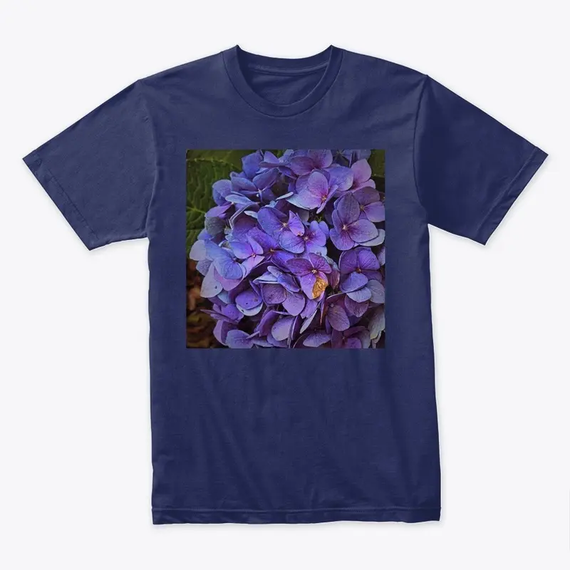 Purple Hydrangeas are beautiful 